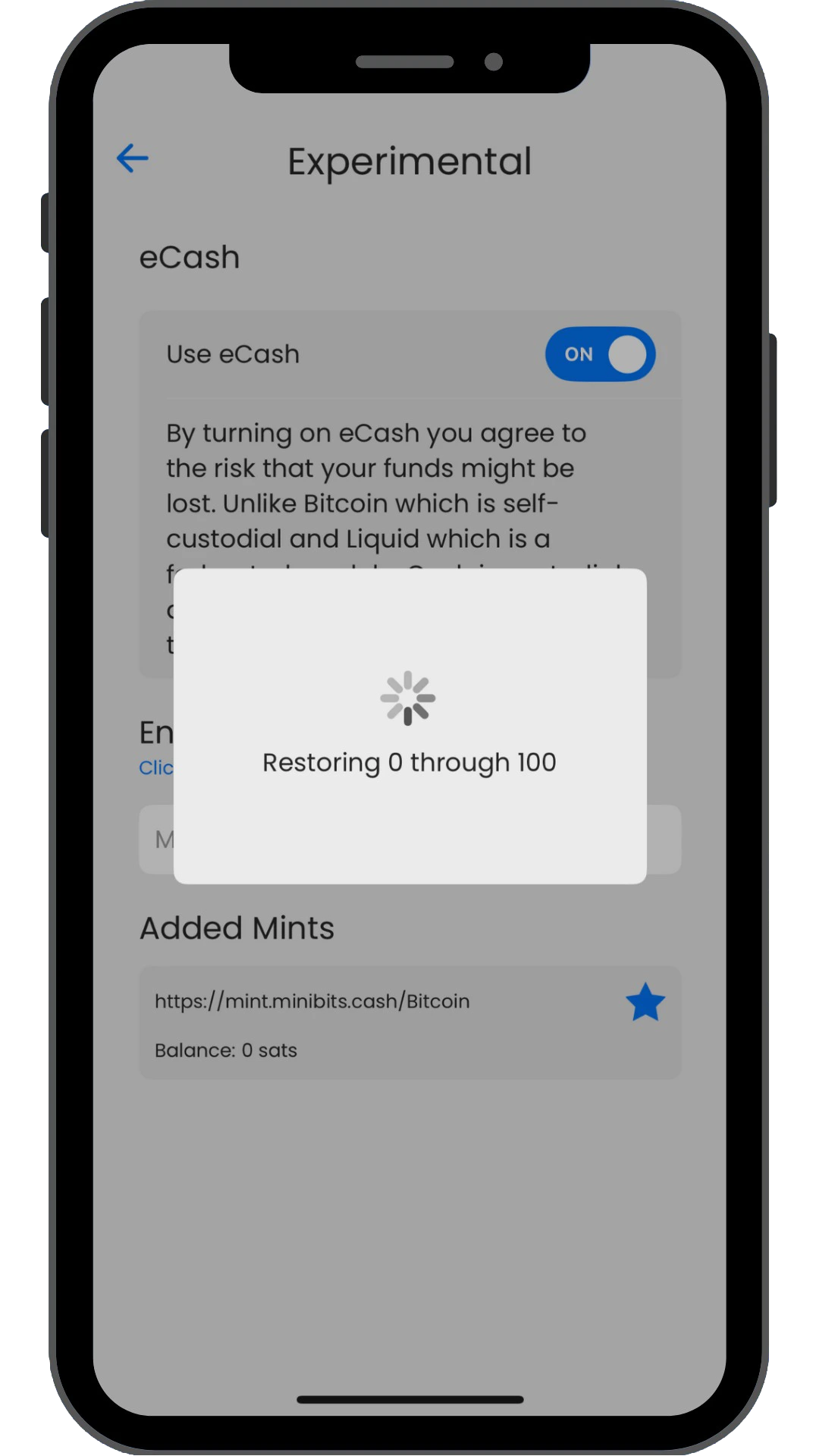 Image of restore ecash proofs page